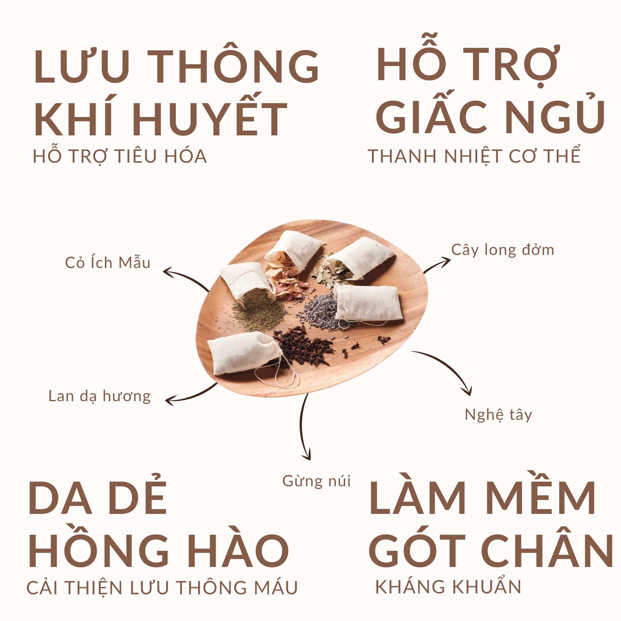 Ảnh 3